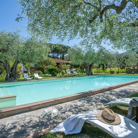 Agriturismo Buen Camino Scarlino Exterior photo